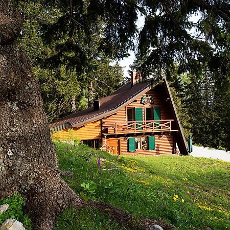 Chalet Alpinka Cerklje na Gorenjskem Exteriör bild
