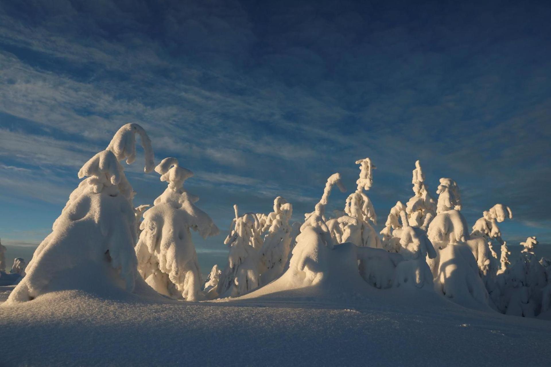 Chalet Alpinka Cerklje na Gorenjskem Exteriör bild