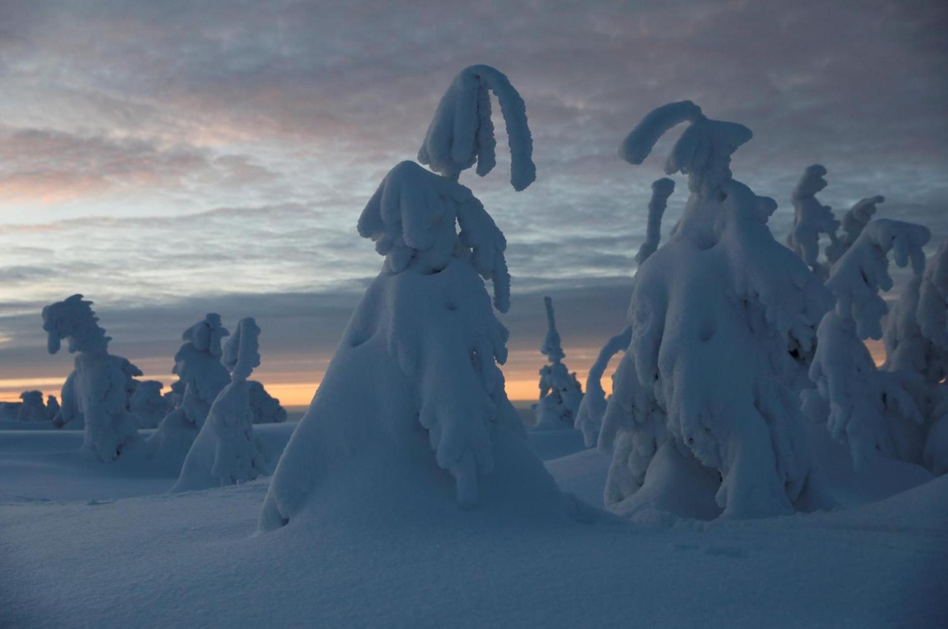 Chalet Alpinka Cerklje na Gorenjskem Exteriör bild
