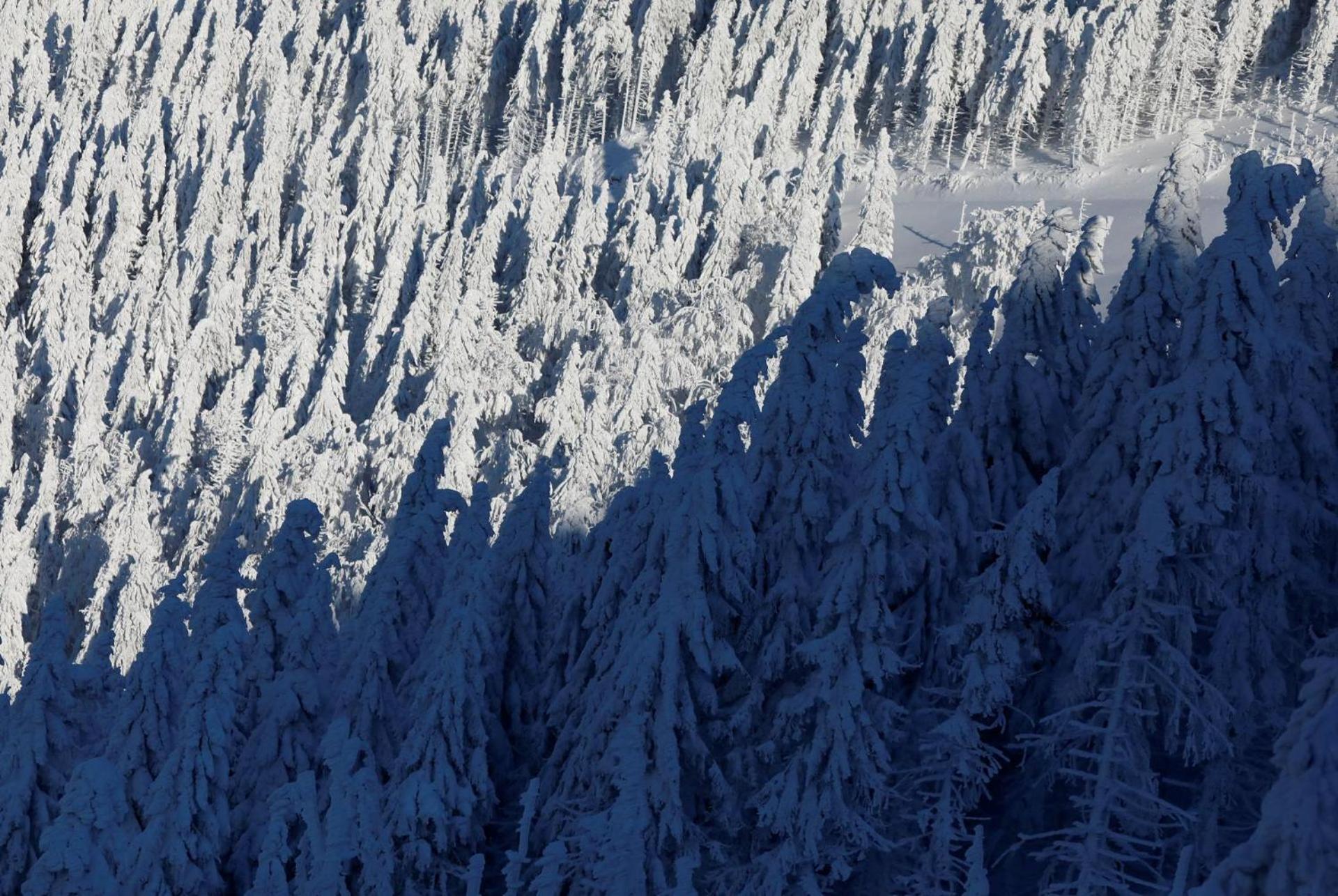 Chalet Alpinka Cerklje na Gorenjskem Exteriör bild